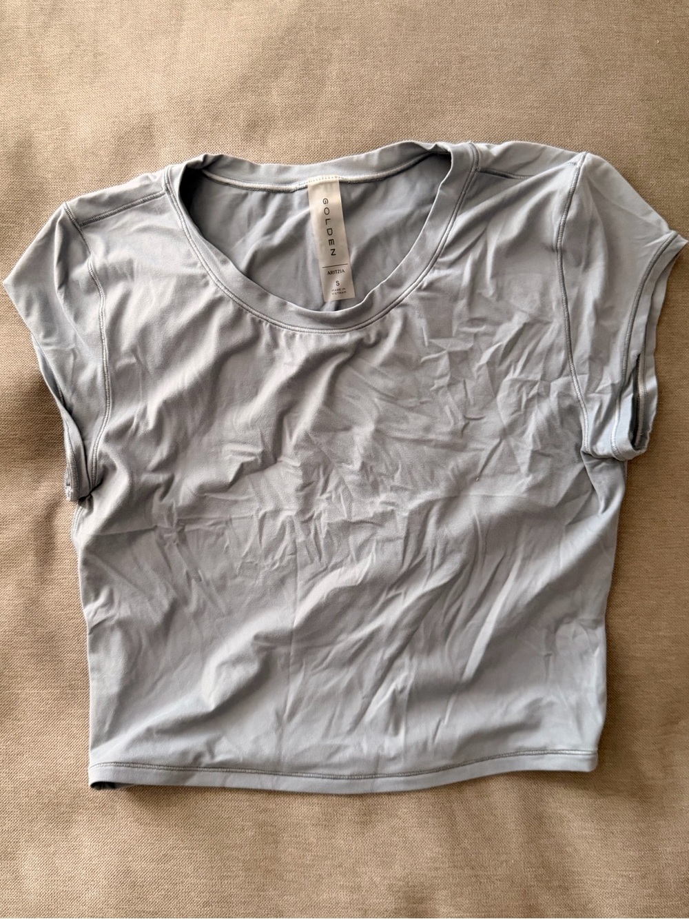 Aritzia Light Gray Short Sleeve Crop Top